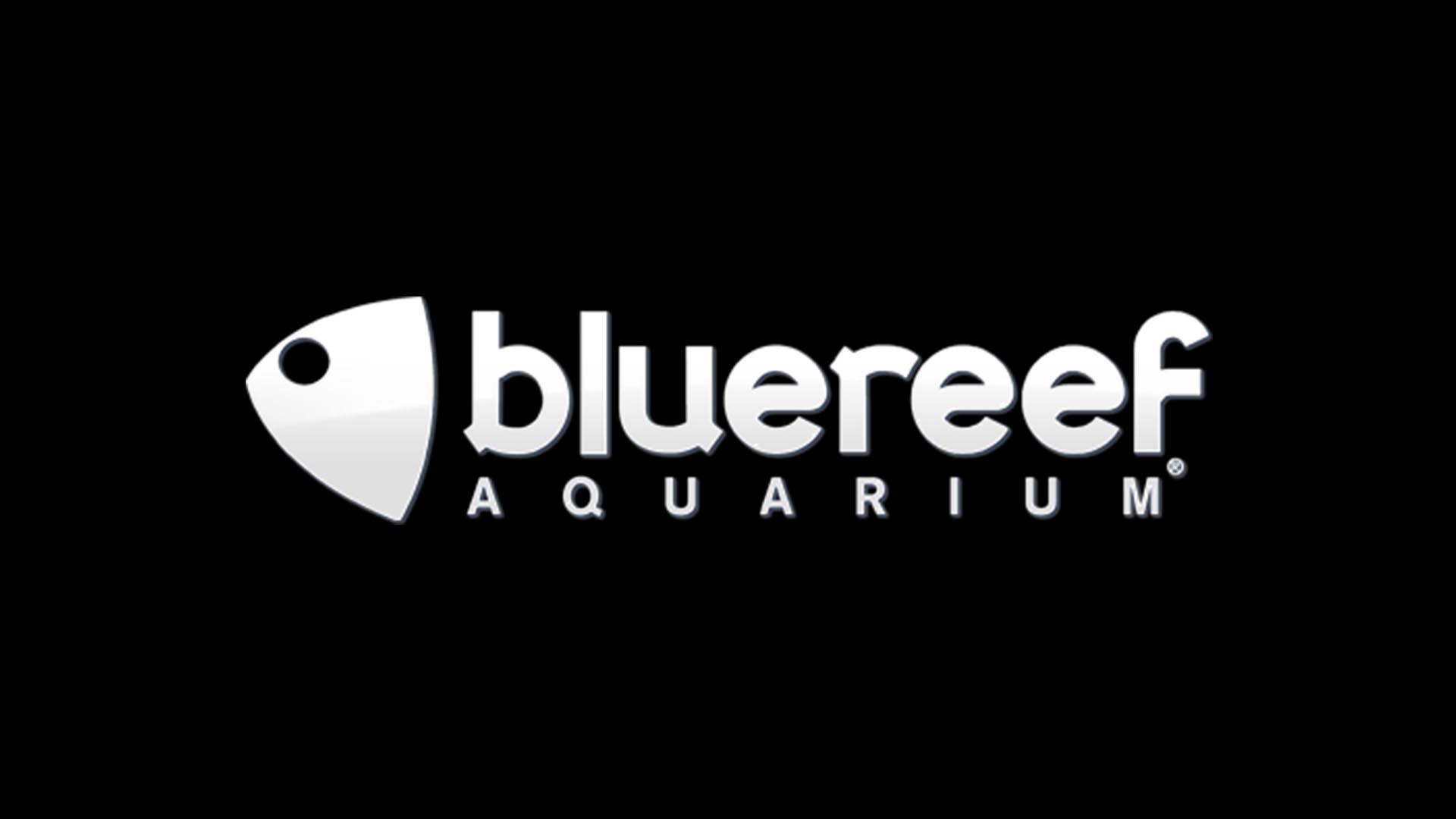 Blue Reef Aquarium