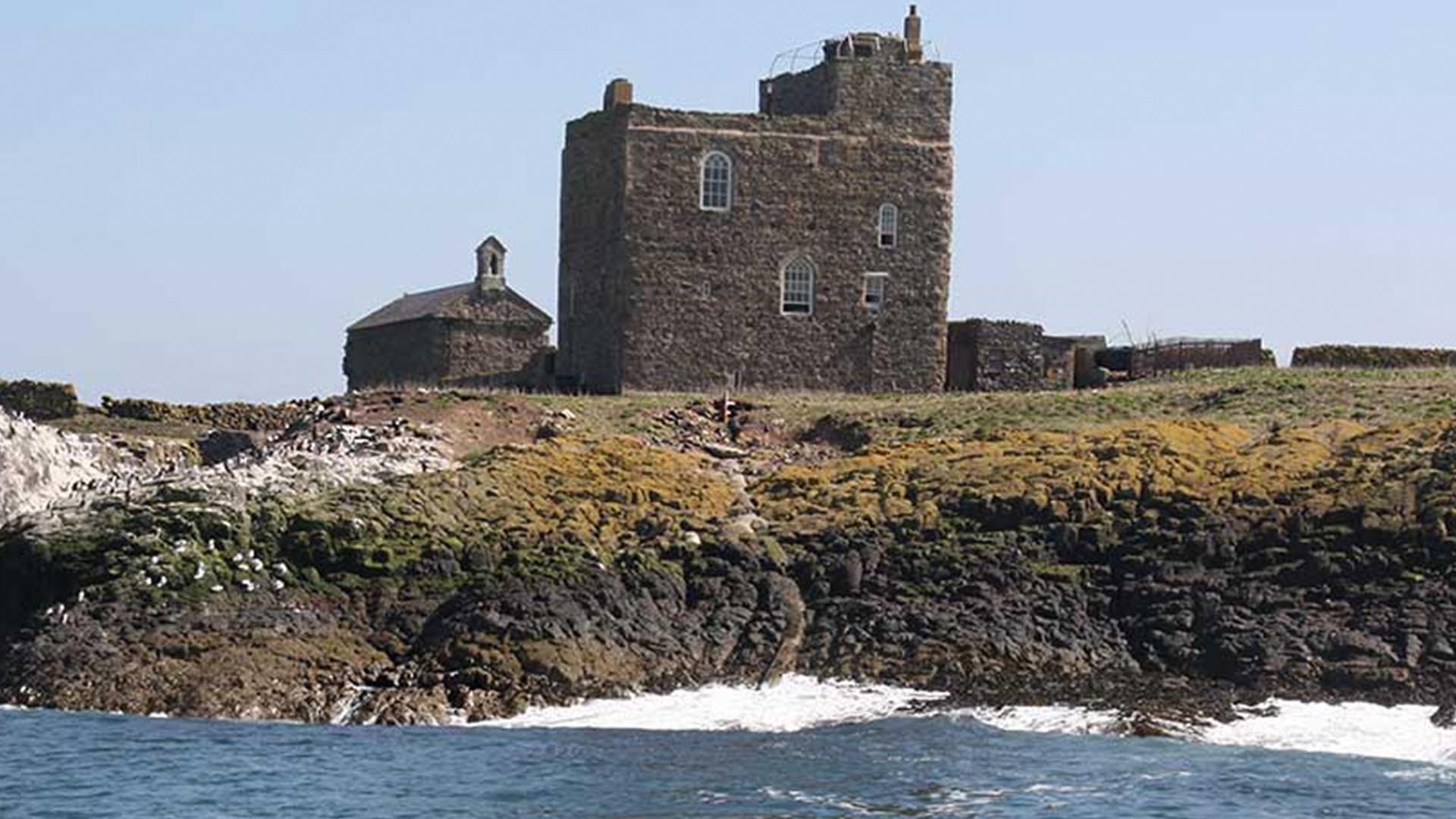 Farne Islands